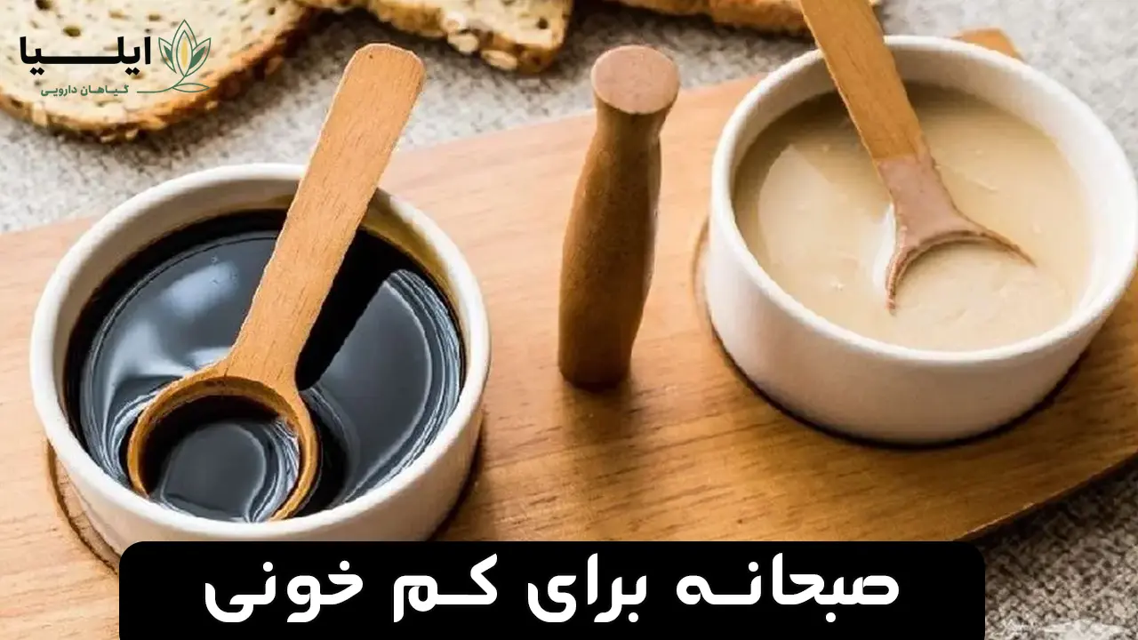 درمان خانگی کم خونی 5 | گیاهان دارویی ایلیا