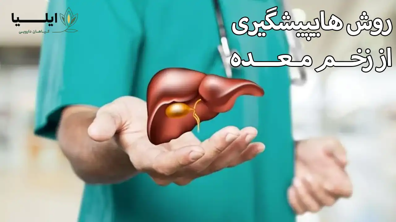 زخم معده چیست 5 | گیاهان دارویی ایلیا