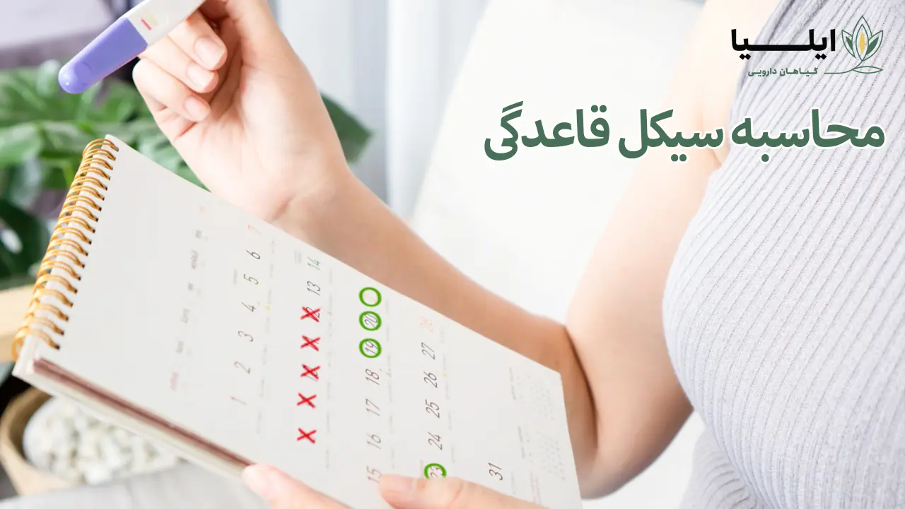 محاسبه سیکل قاعدگی 02 | گیاهان دارویی ایلیا