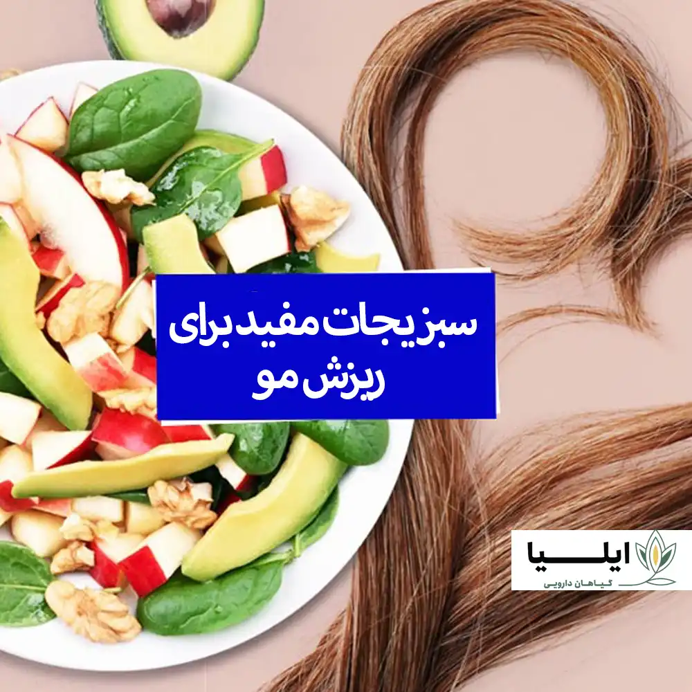 برای جلوگیری از ریزش مو چه بخوریم 04 | گیاهان دارویی ایلیا