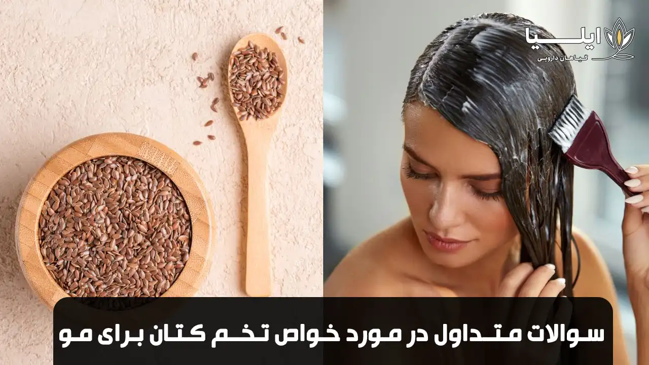 تخم کتان برای مو 05 | گیاهان دارویی ایلیا